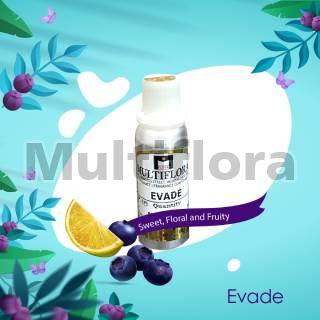 Evade Fragrance Oil