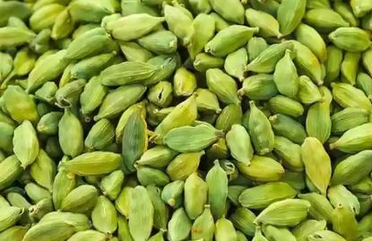 Raw Natural Green Cardamom, For Spices, Variety Of Cardamom : Bold