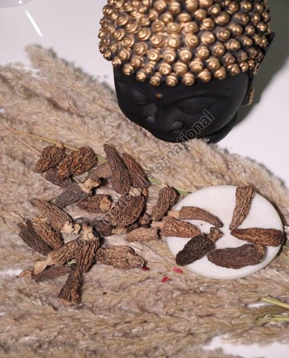 Brown Natural Kashmiri Dried Morels, Packaging Type : Jute Bags