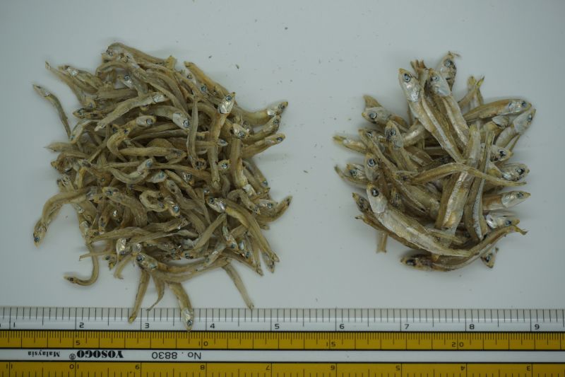 25kg dried anchovies, for HUMAN CONSUMPTION, Size : long