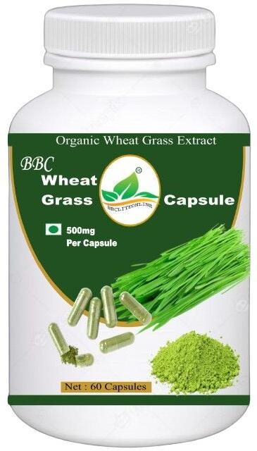 Green BBC Wheat Grass Capsule, for Supplement Diet, Packaging Type : Plastic Bottle