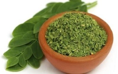 Green Organic Moringa Oleifera Leaves, For Medicine, Cosmetics, Packaging Type : Packet