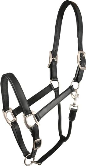 Black Convertible Leather Horse Halters