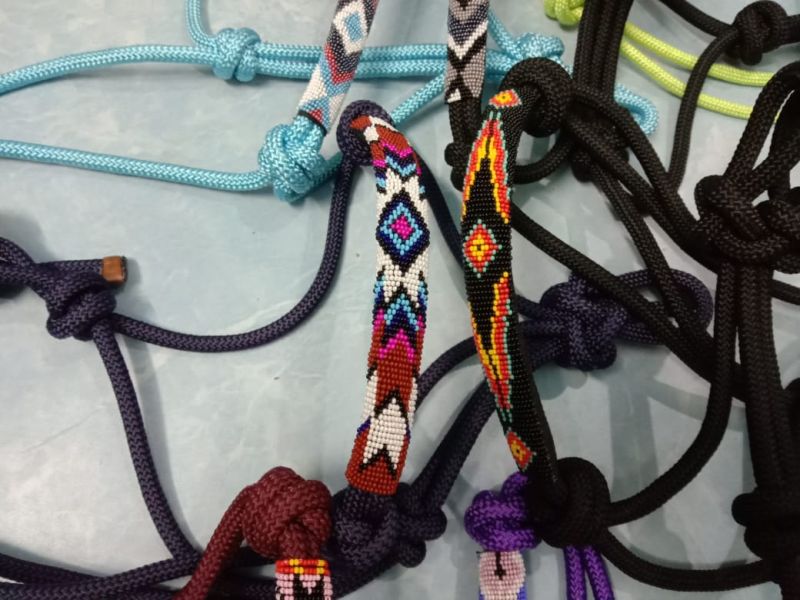 Multi Color Leather Horse Halters