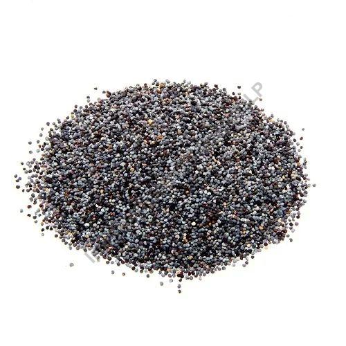 Natural Black Poppy Seeds, for Cooking