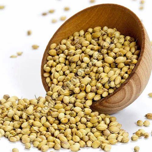 Yellow Natural Coriander Seeds, for Cooking, Packaging Type : Paper Box