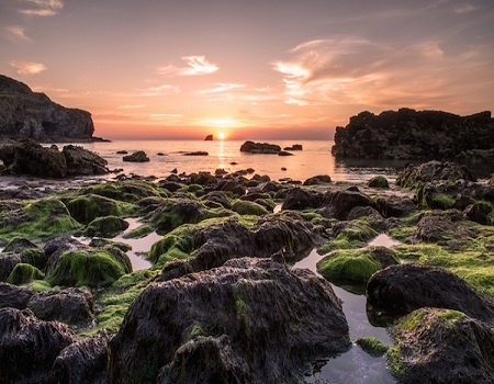 Rock pooling adventures service