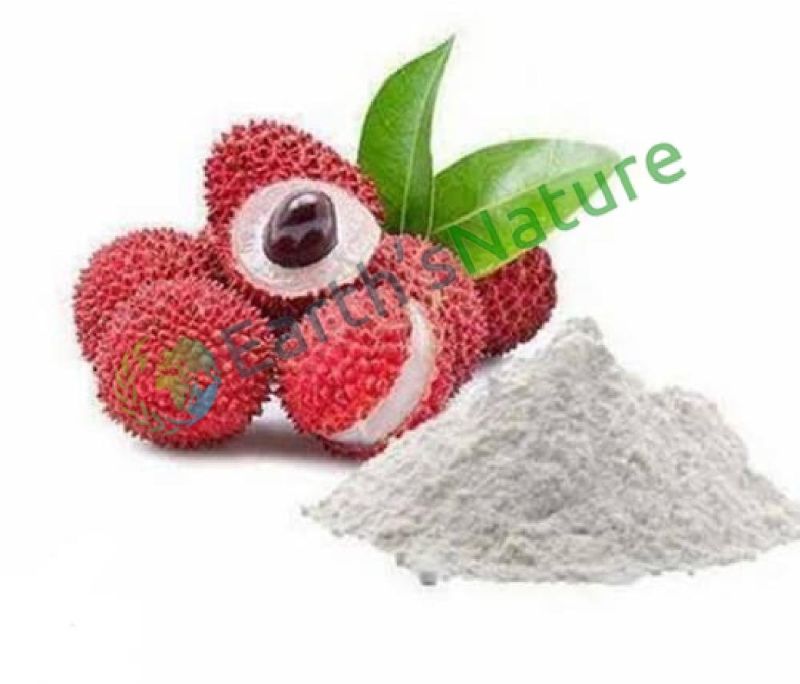 Earth's Nature White Litchi Powder, for Food Industry, Shelf Life : 1year