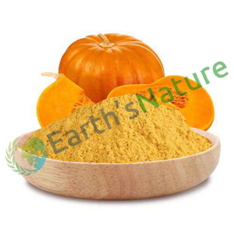 Earth's Nature Yellow Pumpkin Powder, for Food Industry, Shelf Life : 1year