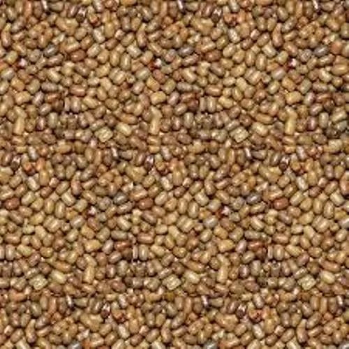 Earth's Nature Brown Organic Turkish Gram, for Cooking, Certification : FSSAI Certified