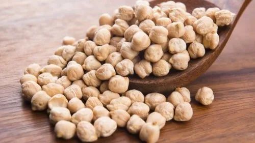 Seeds Natural Chickpeas, For Cooking, Variety : Kabuli Chana