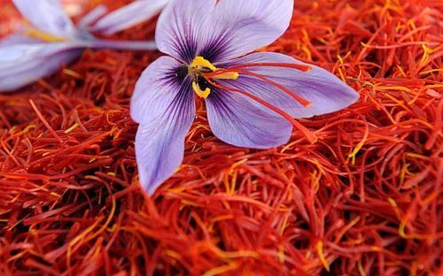 Natural Iran Saffron, Style : Fresh