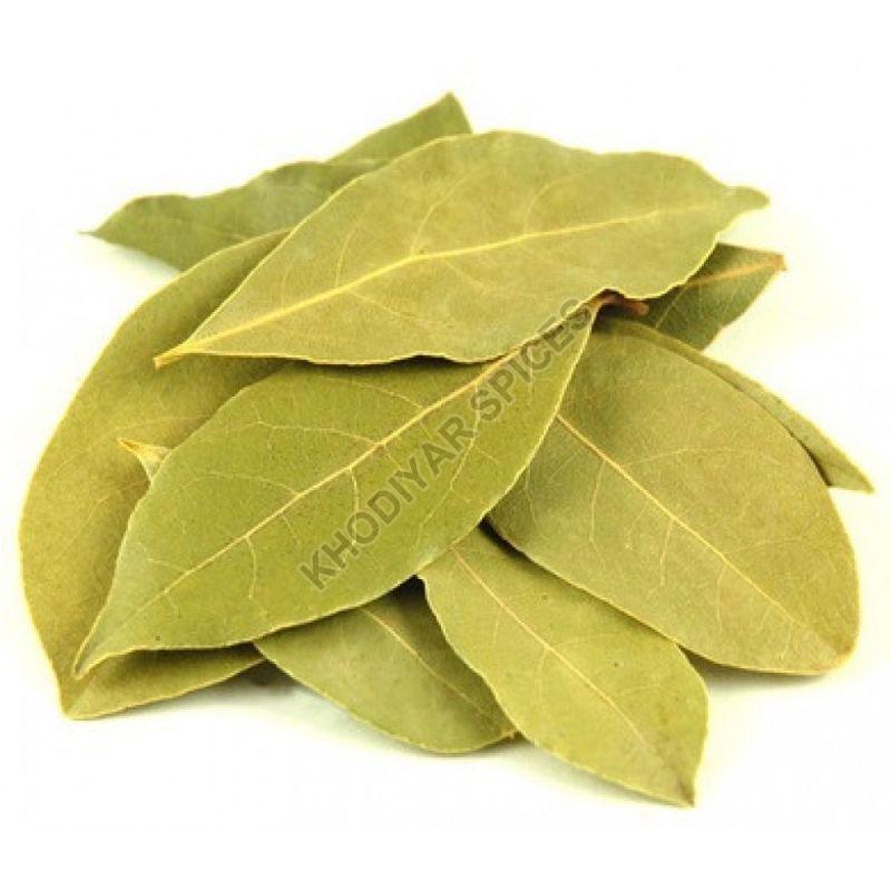 Bay Leaf