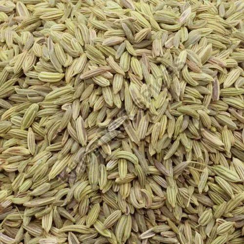 Big Fennel Seeds, Packaging Type : Plastic Packet