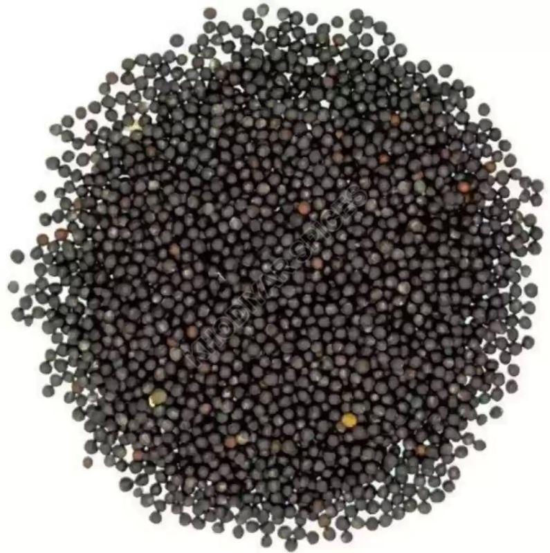 Natural Black Mustard Seeds, for Cooking, Packaging Type : Paper Box