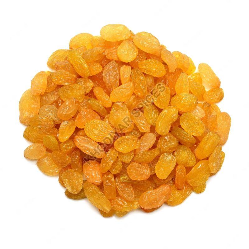 Golden Raisins, for Direct Consumption, Sweets, Packaging Type : Plastic Pack