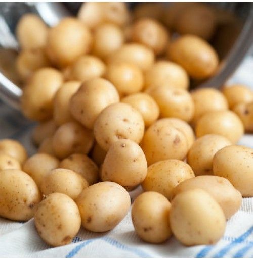 Baby Potato for Snacks, Restaurant, Home, Cooking