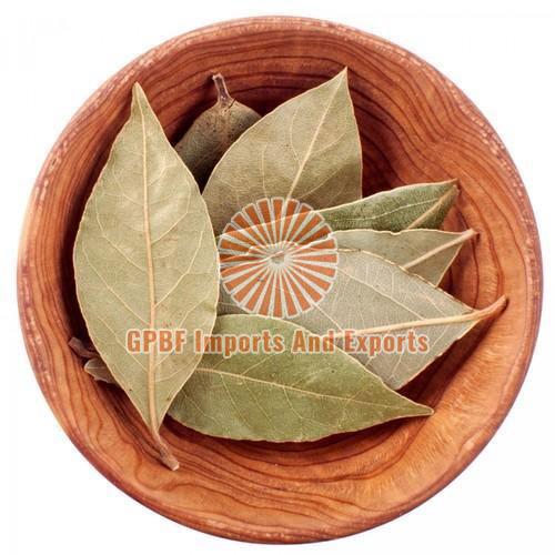 Dried Leaves Bay Leaf, for Cooking, Packaging Type : Plastic Packet