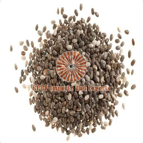 Natural Chia Seeds, for Medicinal Use, Packaging Type : Plastic Bags