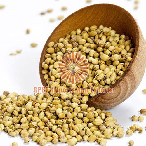 Brown Coriander Seeds, for Cooking, Packaging Type : Paper Box