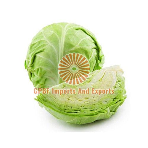Green Fresh Cabbage, for Cooking, Shelf Life : 10 Days