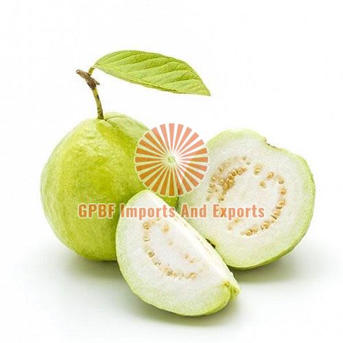Fresh Guava, for Human Consumption, Packaging Type : Plastic Bag