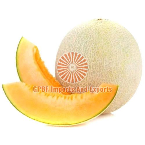Fresh Muskmelon, for Human Consumption, Packaging Type : Gunny Bags