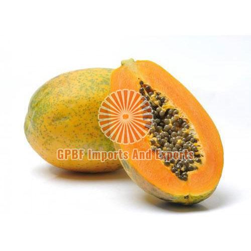 Fresh papaya, Shelf Life : 5-7 Days