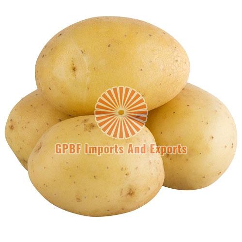 Fresh Potato, for Cooking, Packaging Type : Gunny Bags