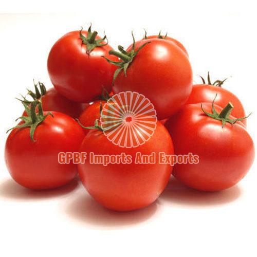 Fresh Tomato, for Cooking, Making Salad, Shelf Life : 10-12 Days