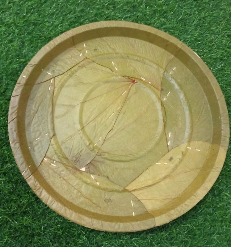 Green Round Plain Sal Leaf Disposable Plate, for Serving Food, Size : 12inch