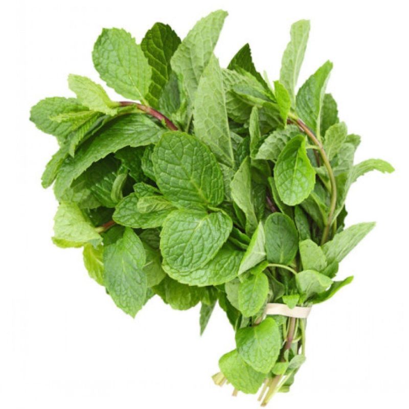 Fresh Mint Leaves, for Cooking