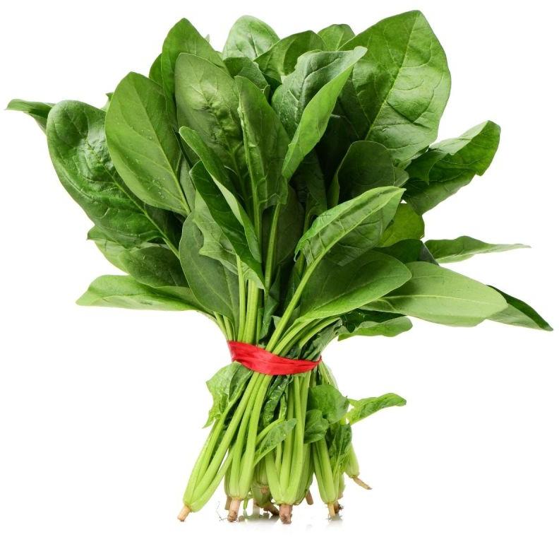 Leafy Vegetable Fresh Spinach, Packaging Type : Plastic Packet