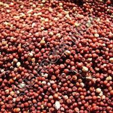 Dark Red Finger Millet Seeds, for Cooking, Cattle Feed, Style : Dried