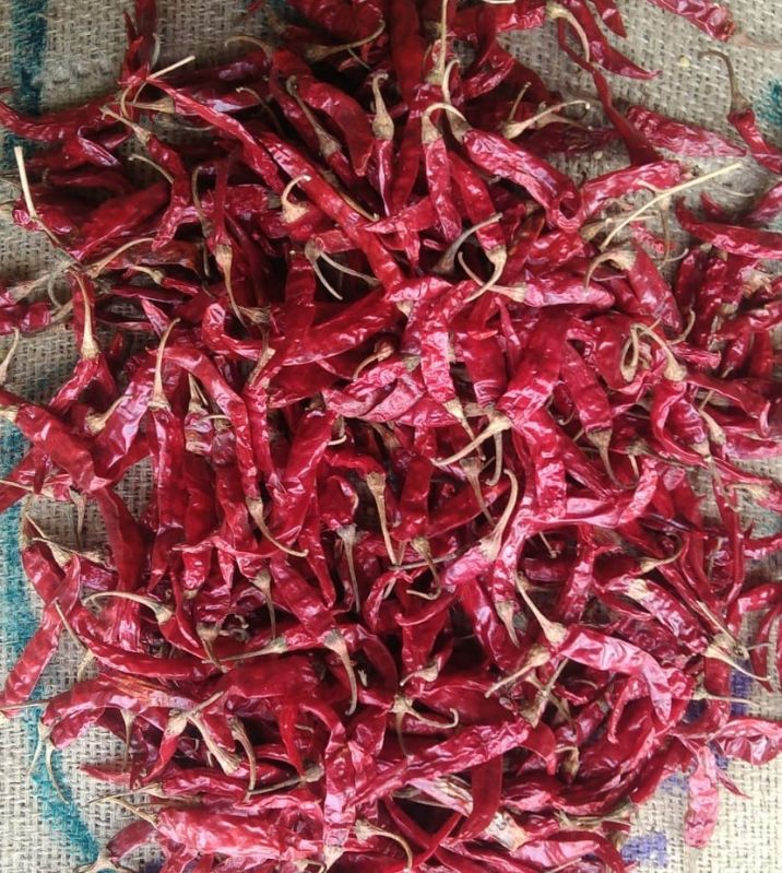 Armor Red Chilli, For Cooking, Packaging Size : 20 Kg