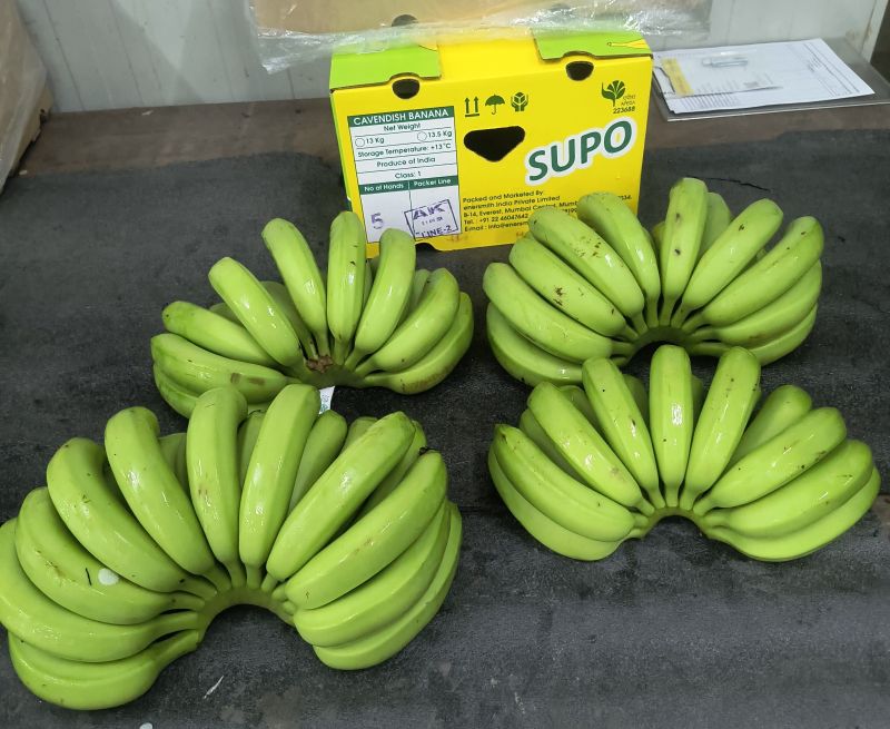 Fresh Green Banana