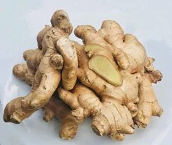 Whole Brown Ginger, for Cooking, Shelf Life : 10 Days