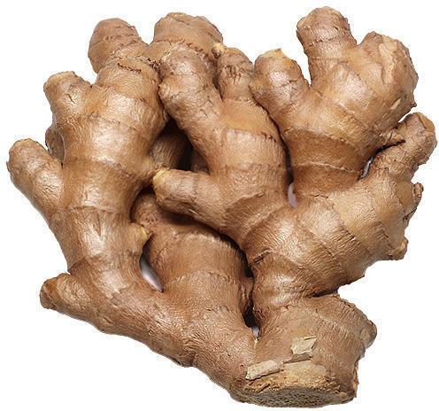 Brown Whole Fresh Ginger, for Cooking, Shelf Life : 10 Days