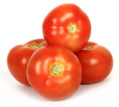 Fresh Tomato, Shelf Life : 10 Days
