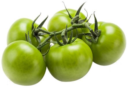 Green Tomato, Shelf Life : 10 Days