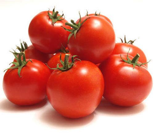 Red Tomato, Shelf Life : 10 Days