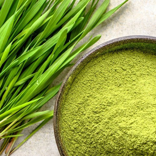 Wheatgrass Powder, Packaging Type : Plastic Packet