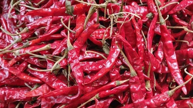 Armour Red Chilli, for Cooking, Shelf Life : 6months