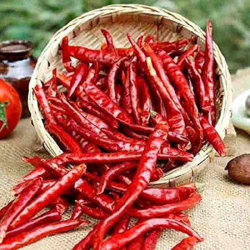 Whole Teja Red Chilli, for Cooking, Packaging Type : PP Bag