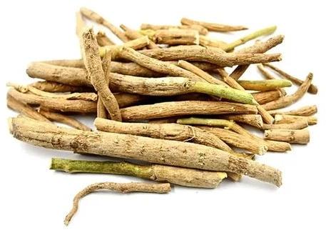 Dry Ashwagandha Root for Herbal Products, Medicine