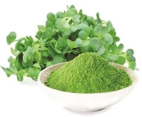 Organic Alfalfa Leaf Powder, Packaging Type : Plastic Packet