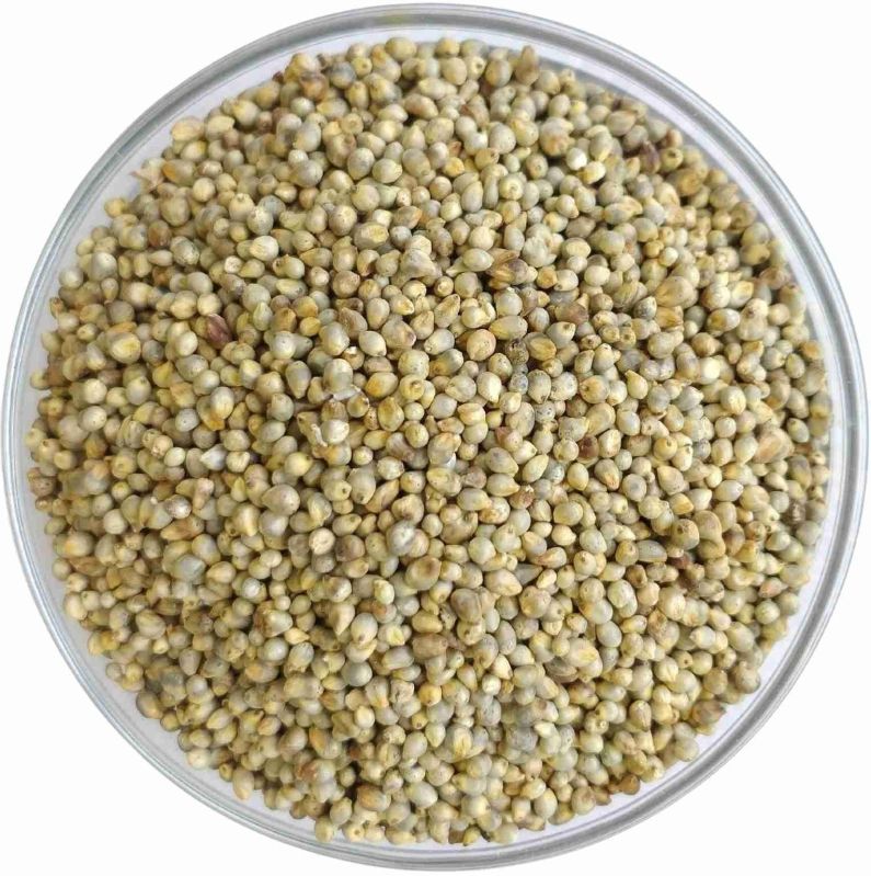 Natural Pearl Millet Seeds, for Cooking, Cattle Feed, Style : Dried