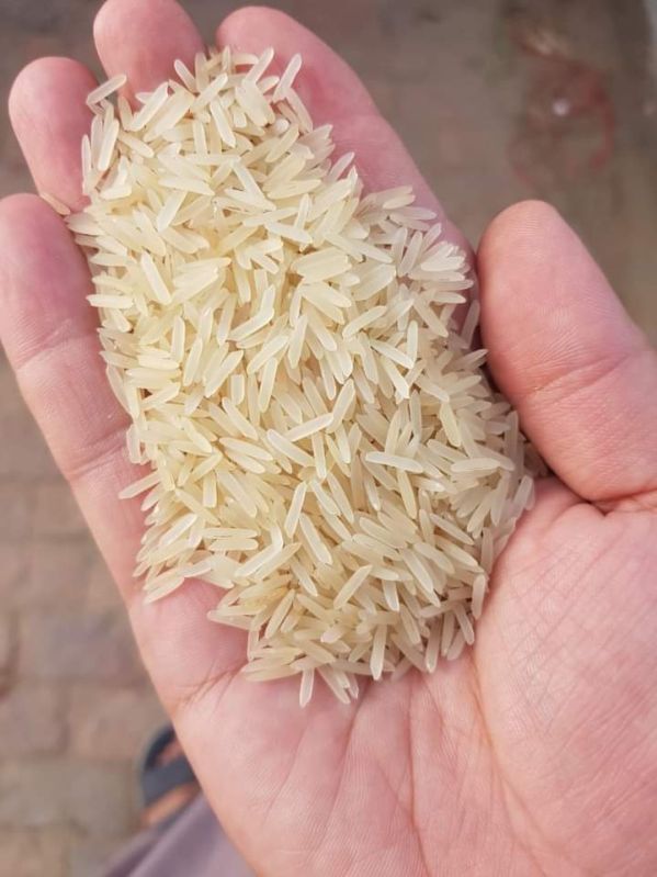 White Hard Organic Non Basmati Rice, for Cooking, Packaging Type : Jute Bags