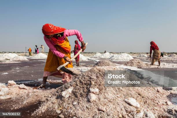 Sea Salt, Size : Big