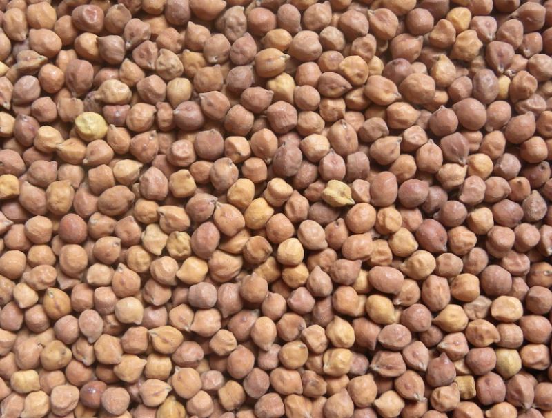 Brown Natural Raw Chana, for Cooking, Grade Standard : Food Grade